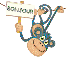 Gif animé bonjour singe
